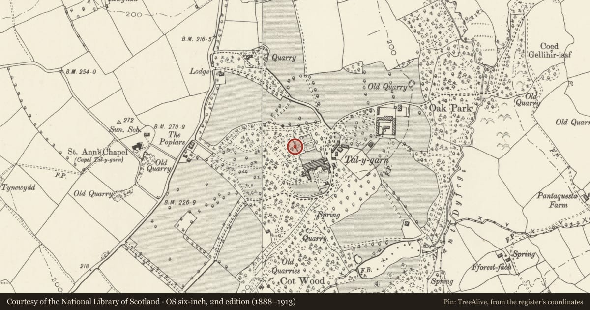 Ordnance Survey six-inch map, 2nd edition (1888–1913) covering the location of Bench on W side of sunken garden at Talygarn, Pont-y-Clun, Rhondda Cynon Taff, with a pin at the register's coordinates