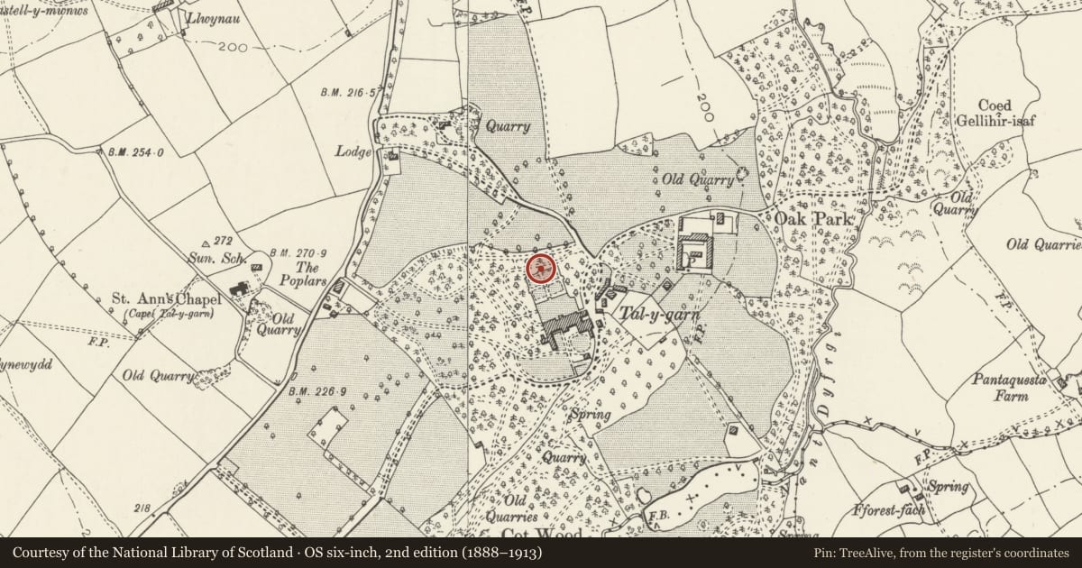 Ordnance Survey six-inch map, 2nd edition (1888–1913) covering the location of Bench on N side of sunken garden at Talygarn, Pont-y-Clun, Rhondda Cynon Taff, with a pin at the register's coordinates