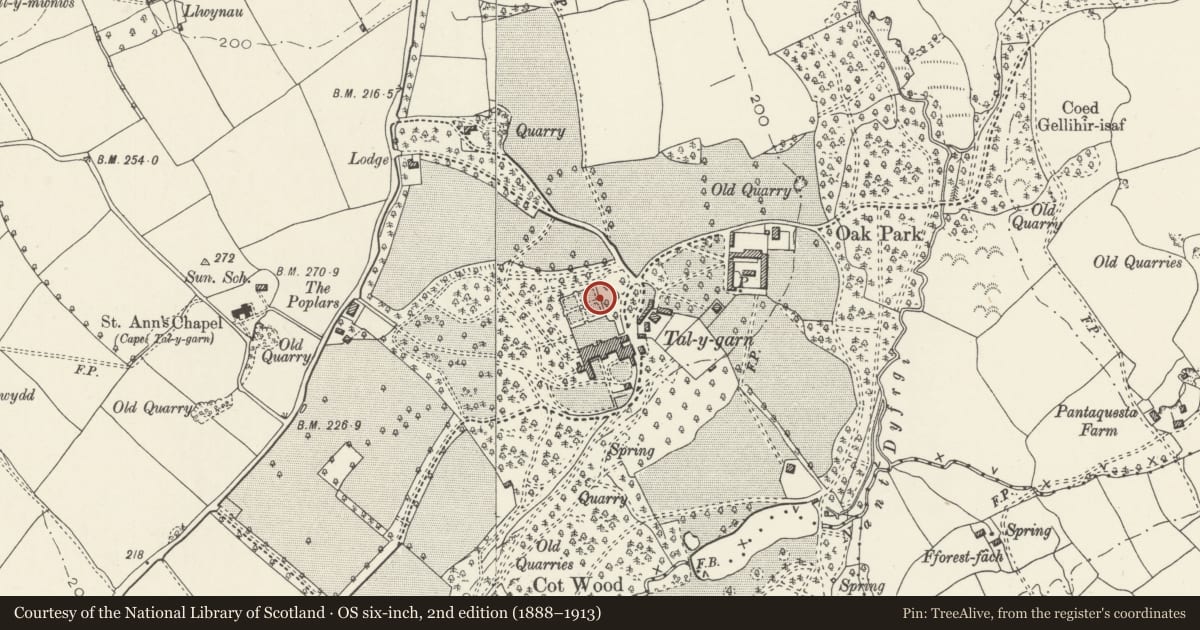 Ordnance Survey six-inch map, 2nd edition (1888–1913) covering the location of Bench on E side of sunken garden at Talygarn, Pont-y-Clun, Rhondda Cynon Taff, with a pin at the register's coordinates