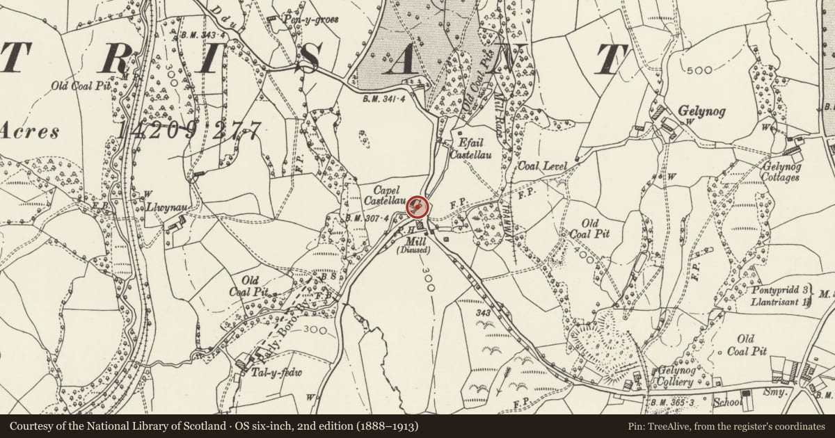 Ordnance Survey six-inch map, 2nd edition (1888–1913) covering the location of Gates, piers, boundary walls and bridge at Castellau Congregational Chapel, Llantrisant, Rhondda Cynon Taff, with a pin at the register's coordinates