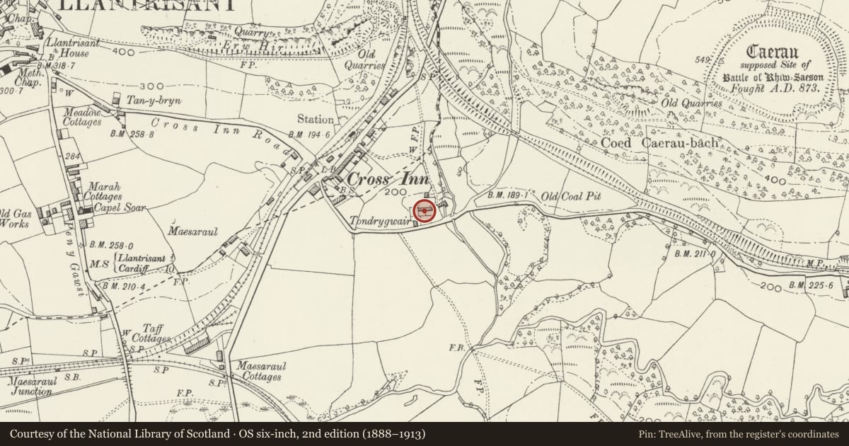 Ordnance Survey six-inch map, 2nd edition (1888–1913) covering the location of Wall with bee boles at Tondrugwaer, Llantrisant, Rhondda Cynon Taff, with a pin at the register's coordinates