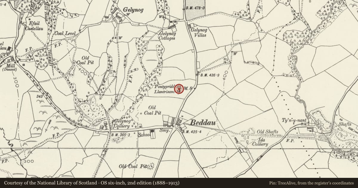 Ordnance Survey six-inch map, 2nd edition (1888–1913) covering the location of Ysgol Gyfun Bryn Celynnog, Llantrisant, Rhondda Cynon Taff, with a pin at the register's coordinates
