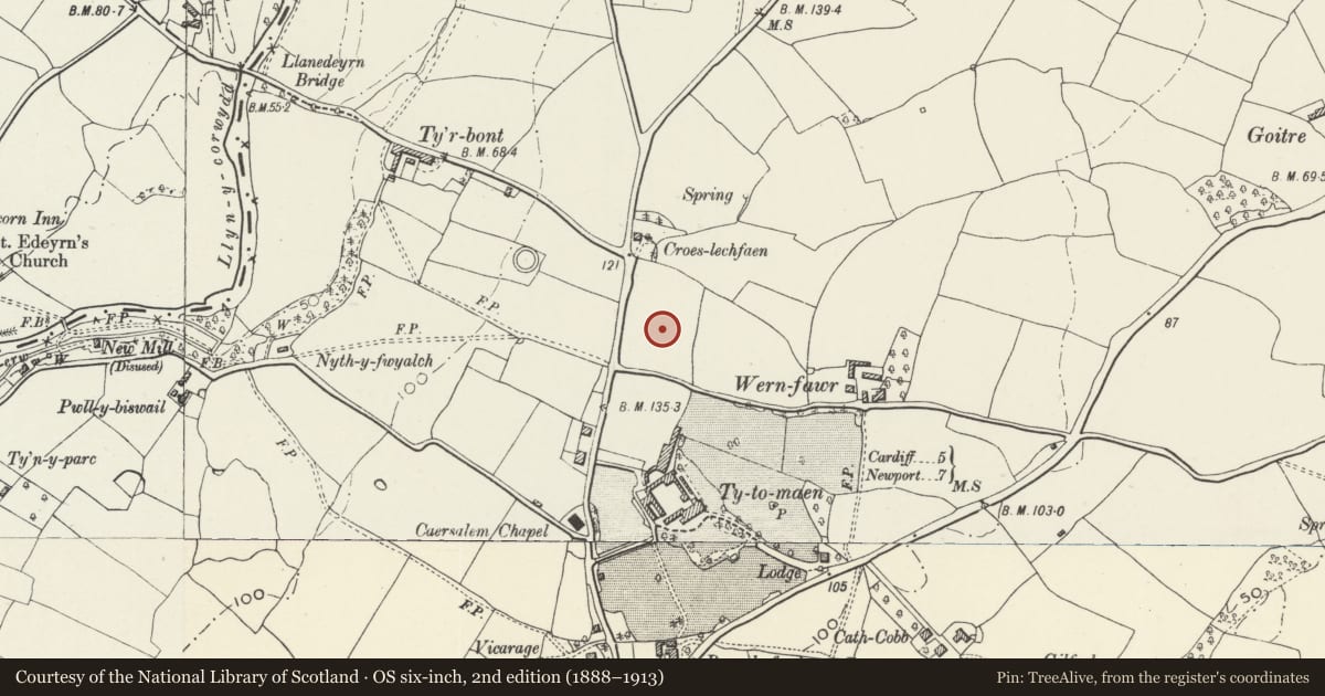 Ordnance Survey six-inch map, 2nd edition (1888–1913) covering the location of White Oaks (aka Rosminian Convent), Old St. Mellons, Cardiff, with a pin at the register's coordinates
