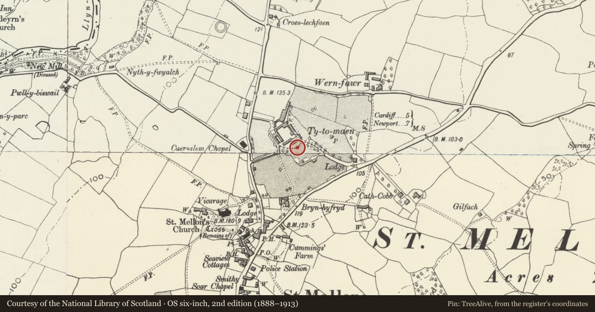 Ordnance Survey six-inch map, 2nd edition (1888–1913) covering the location of Garden Terrace at St John's College (formerly Ty-to-Maen), Old St. Mellons, Cardiff, with a pin at the register's coordinates