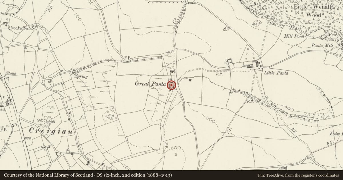 Ordnance Survey six-inch map, 2nd edition (1888–1913) covering the location of Great Panta Farmhouse, Devauden, Monmouthshire, with a pin at the register's coordinates