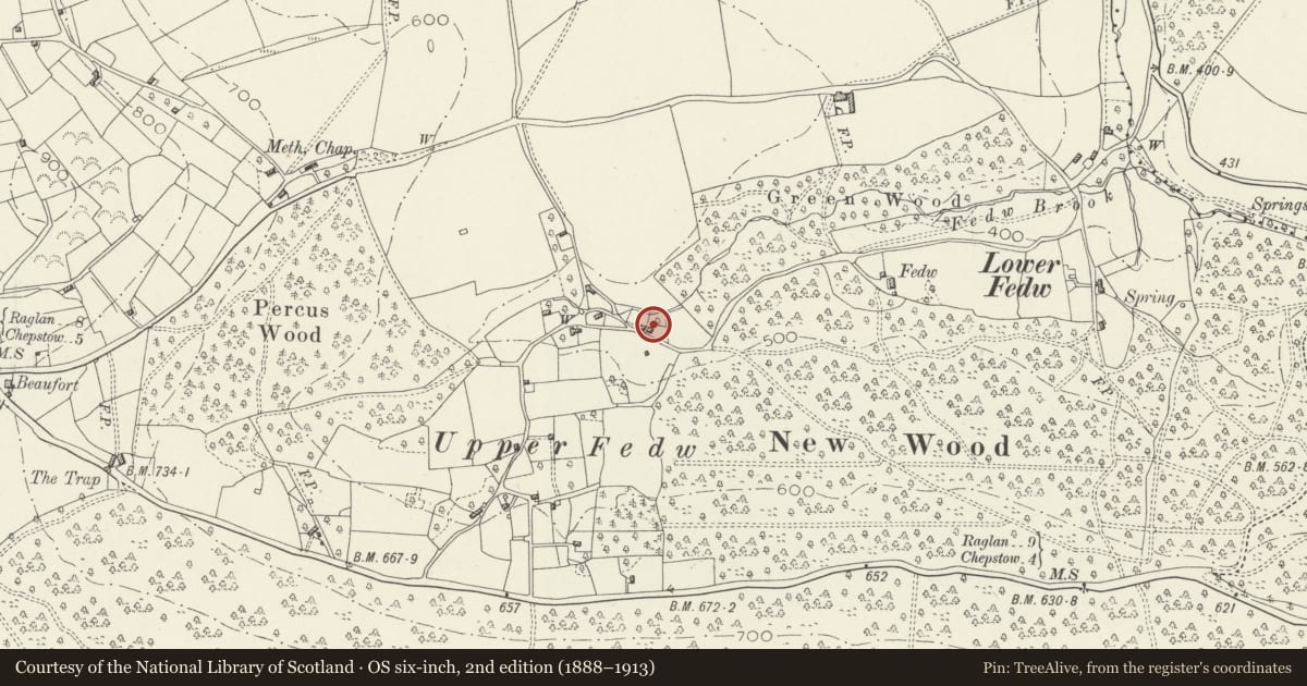Ordnance Survey six-inch map, 2nd edition (1888–1913) covering the location of Eastern Cottage at Fedw Cottages, Devauden, Monmouthshire, with a pin at the register's coordinates