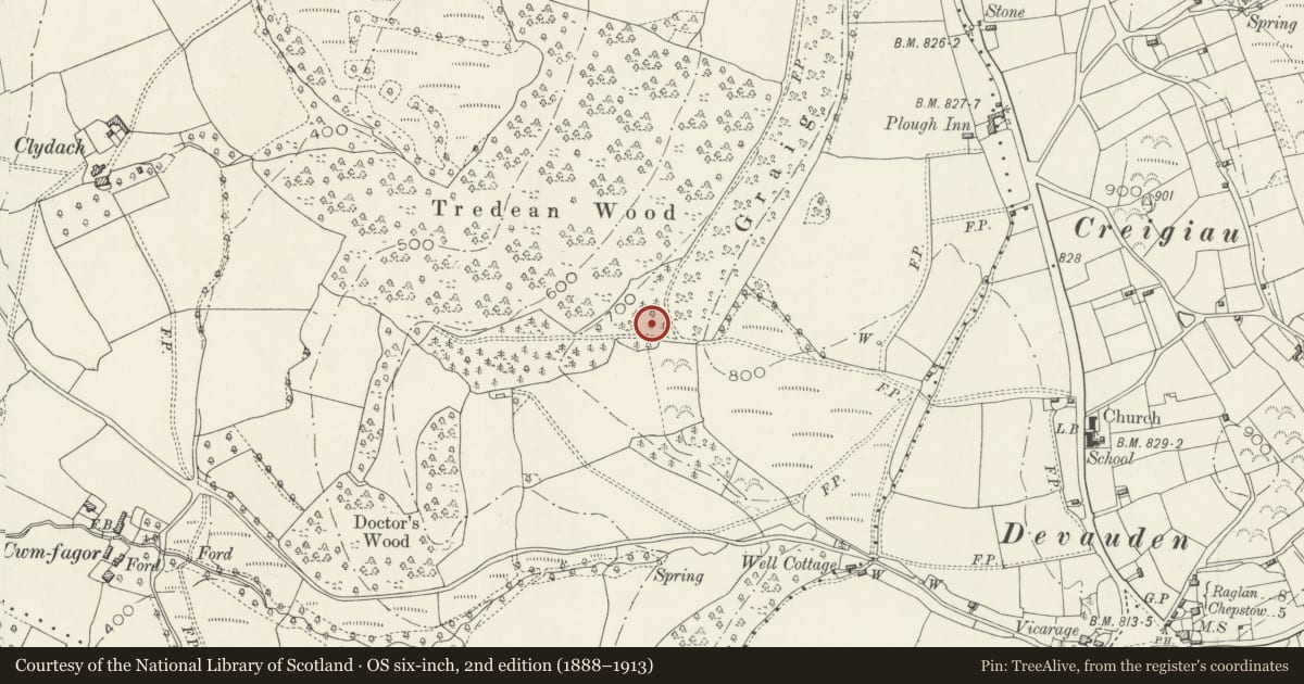 Ordnance Survey six-inch map, 2nd edition (1888–1913) covering the location of Tredean, Devauden, Monmouthshire, with a pin at the register's coordinates