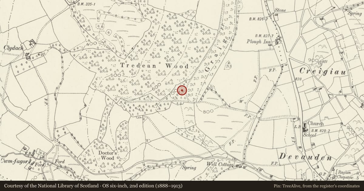 Ordnance Survey six-inch map, 2nd edition (1888–1913) covering the location of Teahouse/Gazebo, steps and terracing at Tredean, Devauden, Monmouthshire, with a pin at the register's coordinates