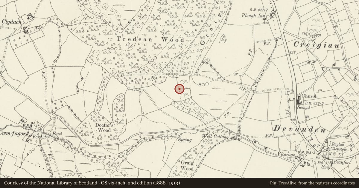 Ordnance Survey six-inch map, 2nd edition (1888–1913) covering the location of Stable block and Garage at Tredean, Devauden, Monmouthshire, with a pin at the register's coordinates