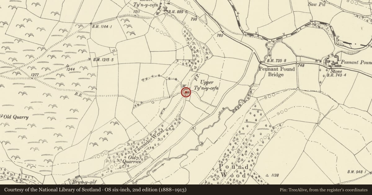 Ordnance Survey six-inch map, 2nd edition (1888–1913) covering the location of Upper Tyn y Cefn, Beguildy, Powys, with a pin at the register's coordinates