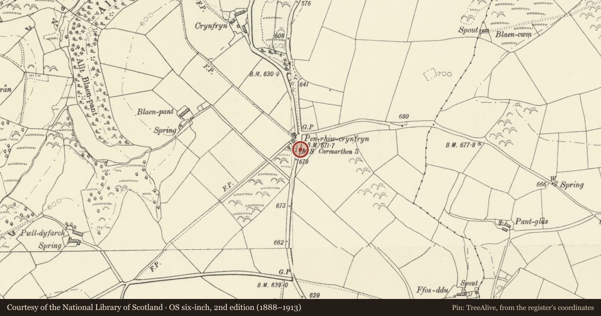 Ordnance Survey six-inch map, 2nd edition (1888–1913) covering the location of Milestone N of Bwlchnewydd, Cynwyl Elfed, Carmarthenshire, with a pin at the register's coordinates
