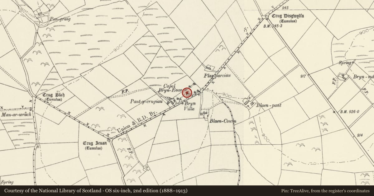 Ordnance Survey six-inch map, 2nd edition (1888–1913) covering the location of Capel Bryn Evan, Cynwyl Elfed, Carmarthenshire, with a pin at the register's coordinates