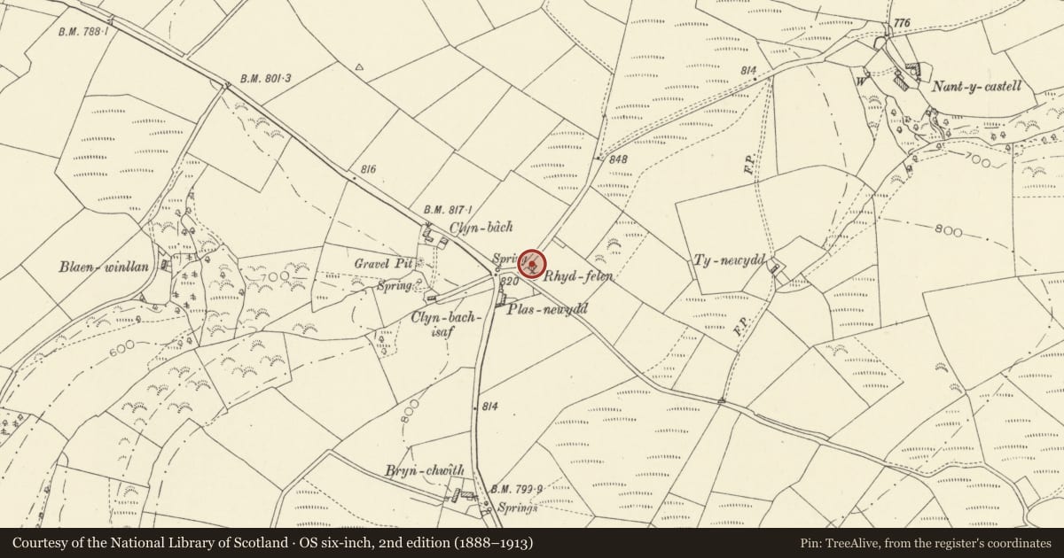 Ordnance Survey six-inch map, 2nd edition (1888–1913) covering the location of Rhydfelen and Y Gangell, Cynwyl Elfed, Carmarthenshire, with a pin at the register's coordinates