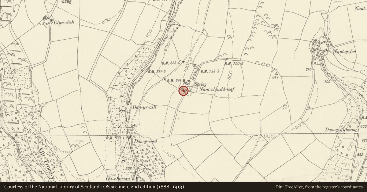 Ordnance Survey six-inch map, 2nd edition (1888–1913) covering the location of Nantclawdd Isaf, Cynwyl Elfed, Carmarthenshire, with a pin at the register's coordinates