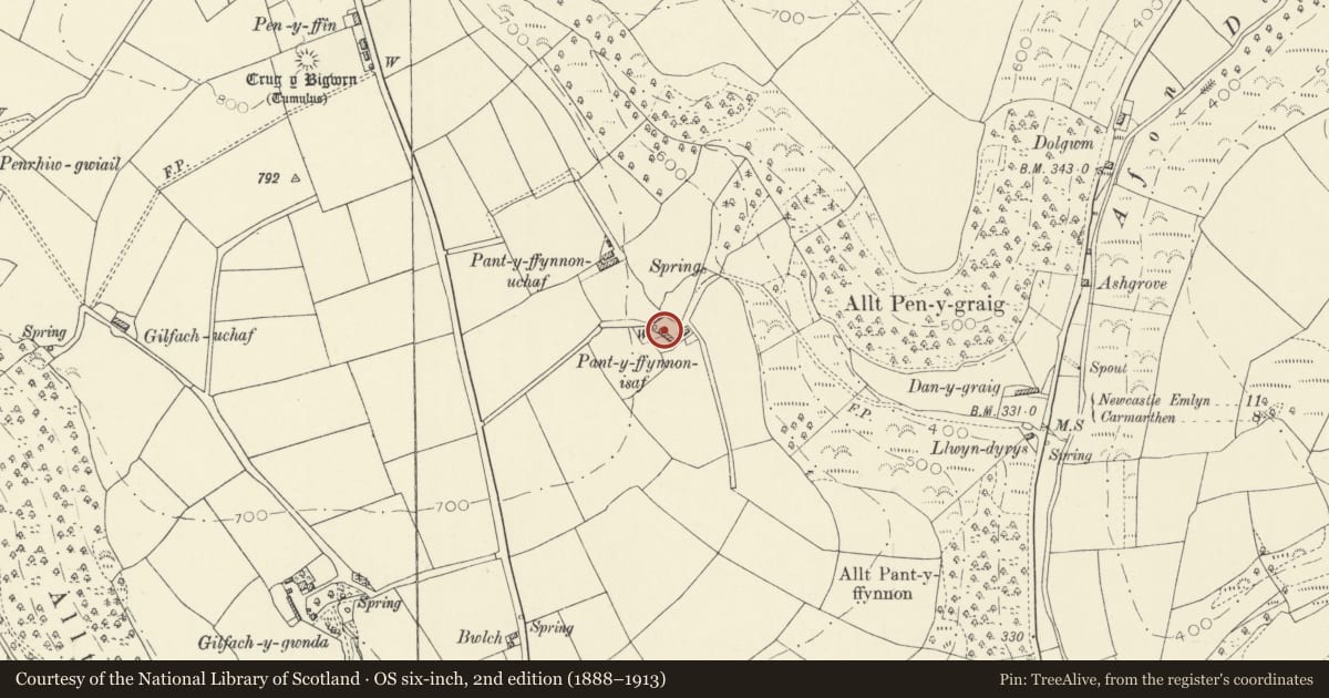 Ordnance Survey six-inch map, 2nd edition (1888–1913) covering the location of Pantyffynnon Isaf, Cynwyl Elfed, Carmarthenshire, with a pin at the register's coordinates