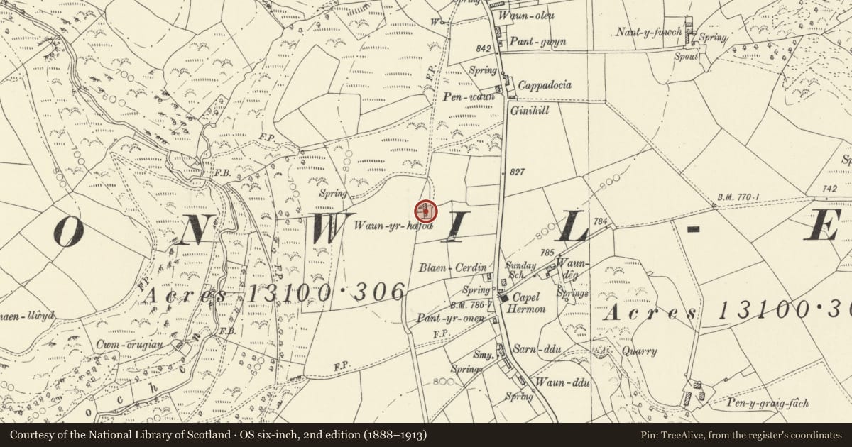 Ordnance Survey six-inch map, 2nd edition (1888–1913) covering the location of Waunyrhafod, Cynwyl Elfed, Carmarthenshire, with a pin at the register's coordinates
