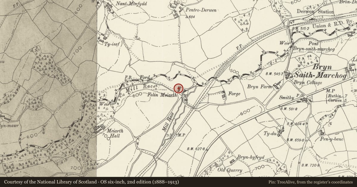 Ordnance Survey six-inch map, 2nd edition (1888–1913) covering the location of Former Miller's House at Melin Meiarth, Gwyddelwern, Denbighshire, with a pin at the register's coordinates