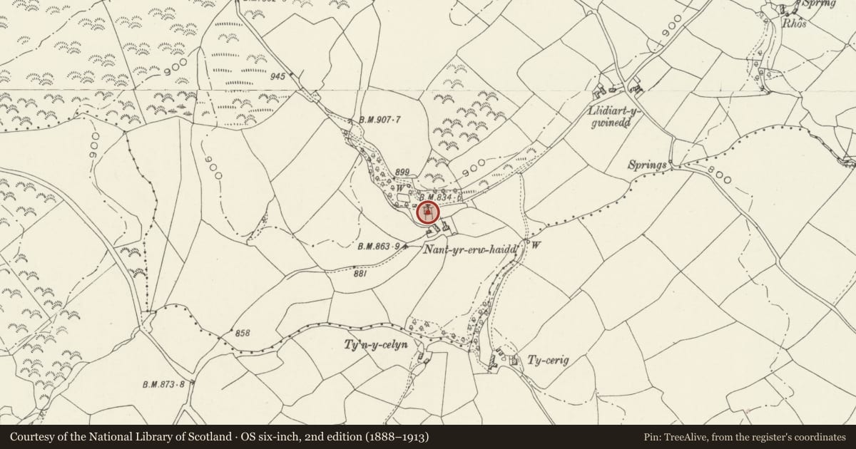 Ordnance Survey six-inch map, 2nd edition (1888–1913) covering the location of Nant-yr-erw-haidd Farmhouse, Gwyddelwern, Denbighshire, with a pin at the register's coordinates