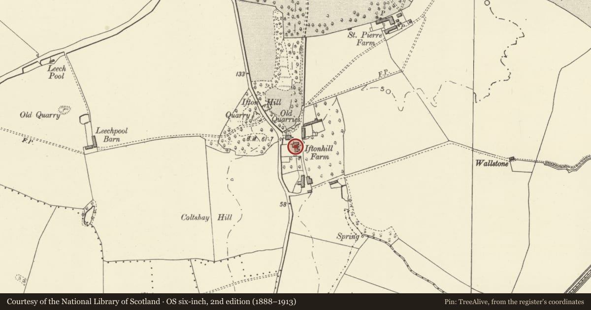 Ordnance Survey six-inch map, 2nd edition (1888–1913) covering the location of Ifton Hill House, Portskewett, Monmouthshire, with a pin at the register's coordinates