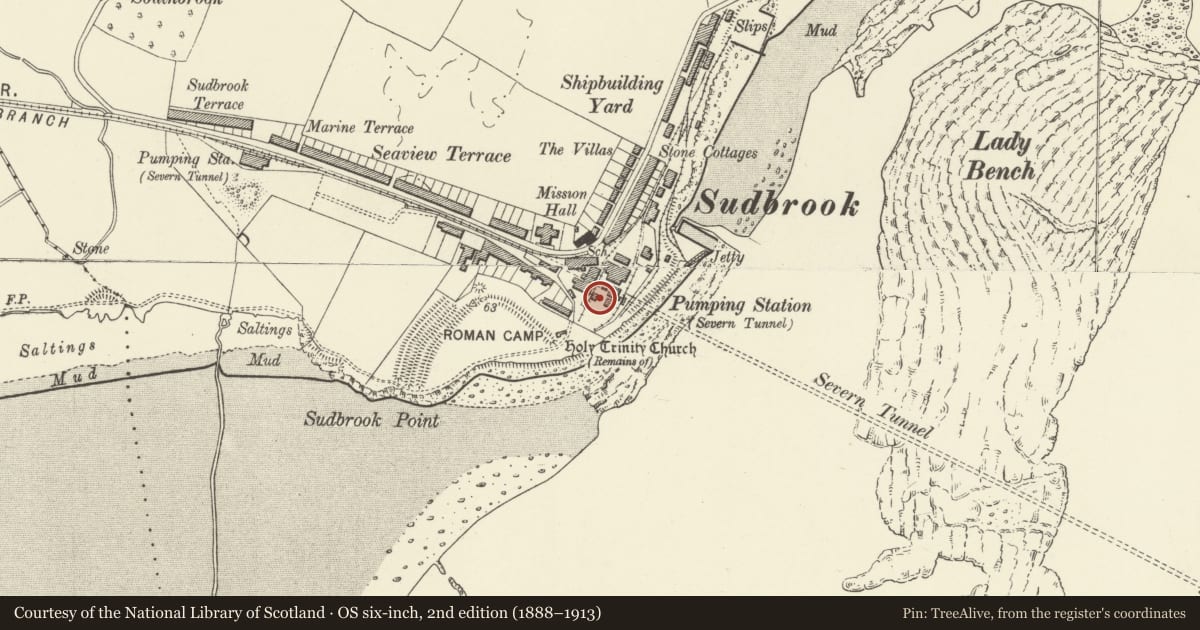 Ordnance Survey six-inch map, 2nd edition (1888–1913) covering the location of Fan House at Sudbrook Pumping Station, Portskewett, Monmouthshire, with a pin at the register's coordinates