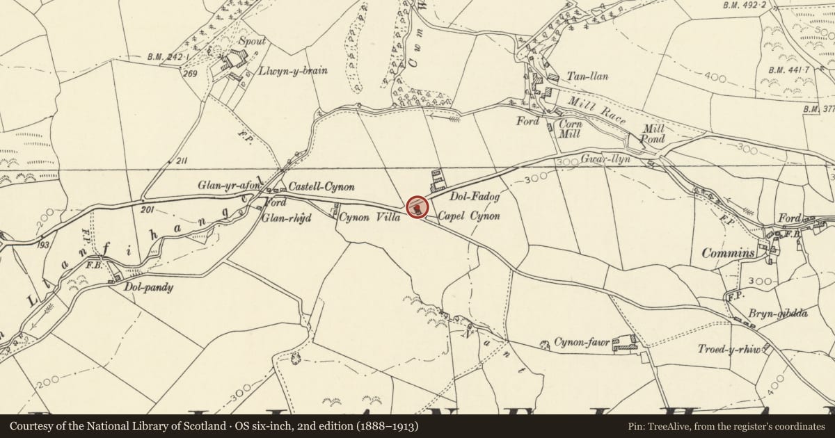 Ordnance Survey six-inch map, 2nd edition (1888–1913) covering the location of Capel Cynnon including vestry to right, Trawsgoed, Ceredigion, with a pin at the register's coordinates