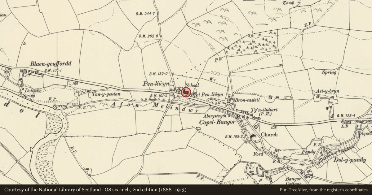 Ordnance Survey six-inch map, 2nd edition (1888–1913) covering the location of Penllwyn Calvinistic Methodist Chapel, chapel house and schoolroom including railings and gates, Melindwr, Ceredigion, with a pin at the register's coordinates