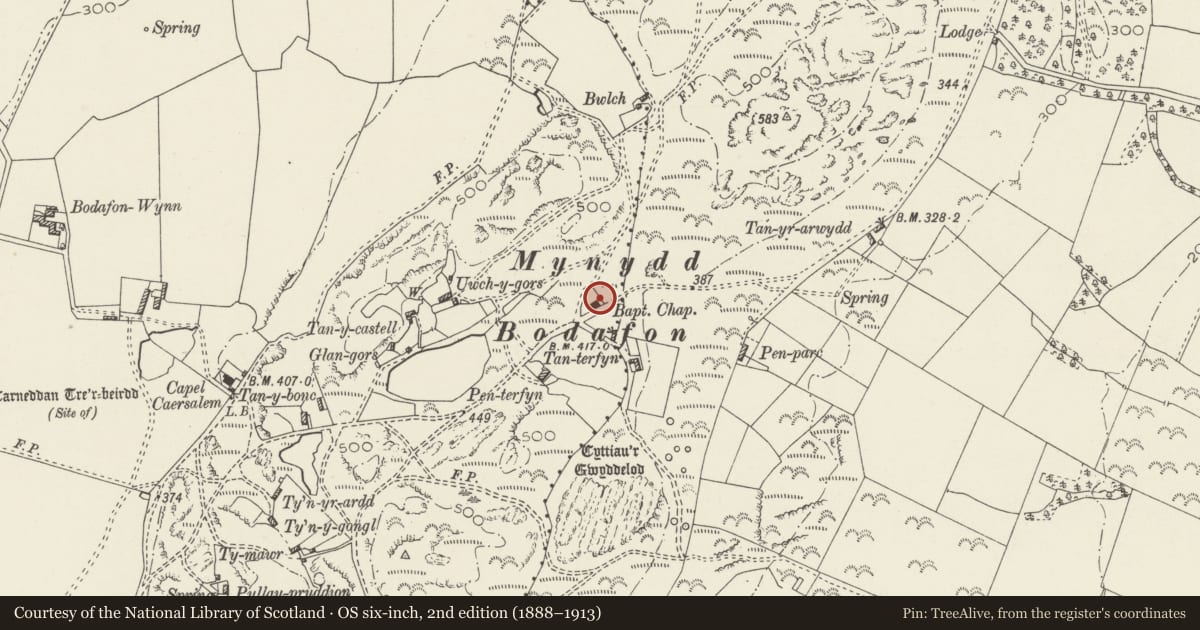 Ordnance Survey six-inch map, 2nd edition (1888–1913) covering the location of Capel Bethesda, Llanddyfnan, Isle of Anglesey, with a pin at the register's coordinates