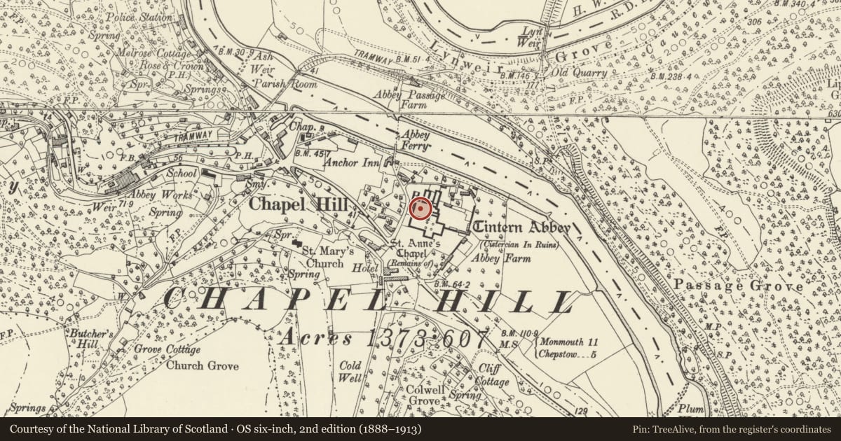 Ordnance Survey six-inch map, 2nd edition (1888–1913) covering the location of Abbey Church of St Mary (Tintern Abbey) including monastic buildings, Wye Valley, Monmouthshire, with a pin at the register's coordinates