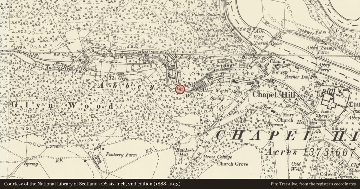Ordnance Survey six-inch map, 2nd edition (1888–1913) covering the location of Retaining Wall/Dam of Holding Pond at the Old Wire Works, Wye Valley, Monmouthshire, with a pin at the register's coordinates