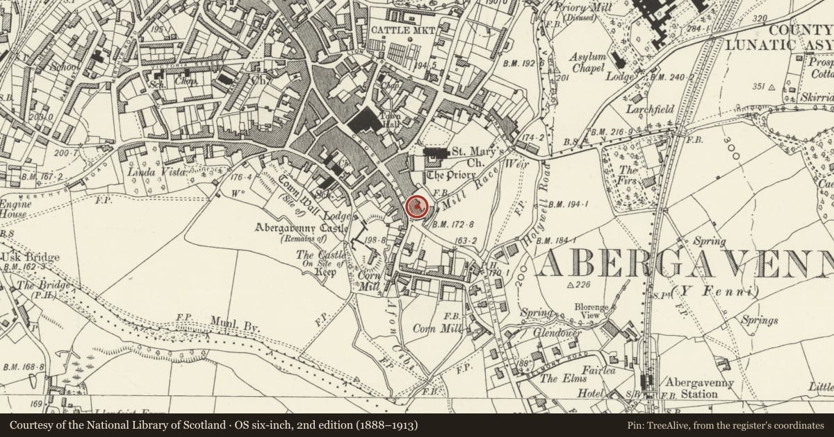Ordnance Survey six-inch map, 2nd edition (1888–1913) covering the location of 37 Cross Street, Abergavenny, Monmouthshire, with a pin at the register's coordinates