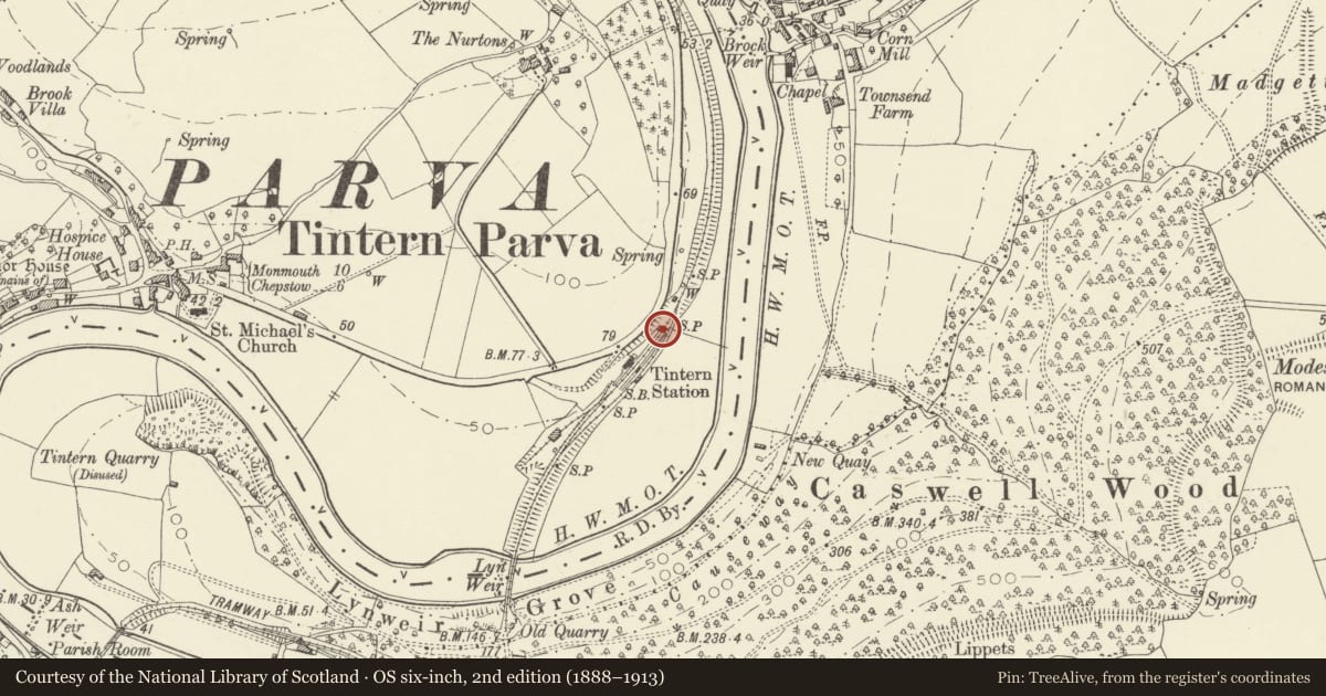 Ordnance Survey six-inch map, 2nd edition (1888–1913) covering the location of Water Tank at Tintern Station, Wye Valley, Monmouthshire, with a pin at the register's coordinates