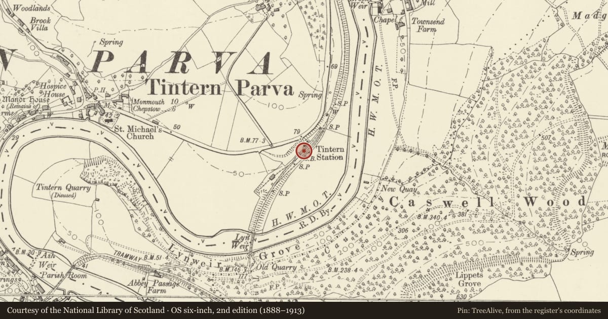 Ordnance Survey six-inch map, 2nd edition (1888–1913) covering the location of Name Board at Tintern Station, Wye Valley, Monmouthshire, with a pin at the register's coordinates