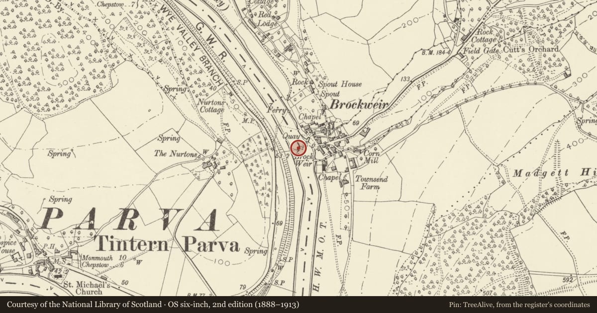 Ordnance Survey six-inch map, 2nd edition (1888–1913) covering the location of Brockweir Bridge, Wye Valley, Monmouthshire, with a pin at the register's coordinates