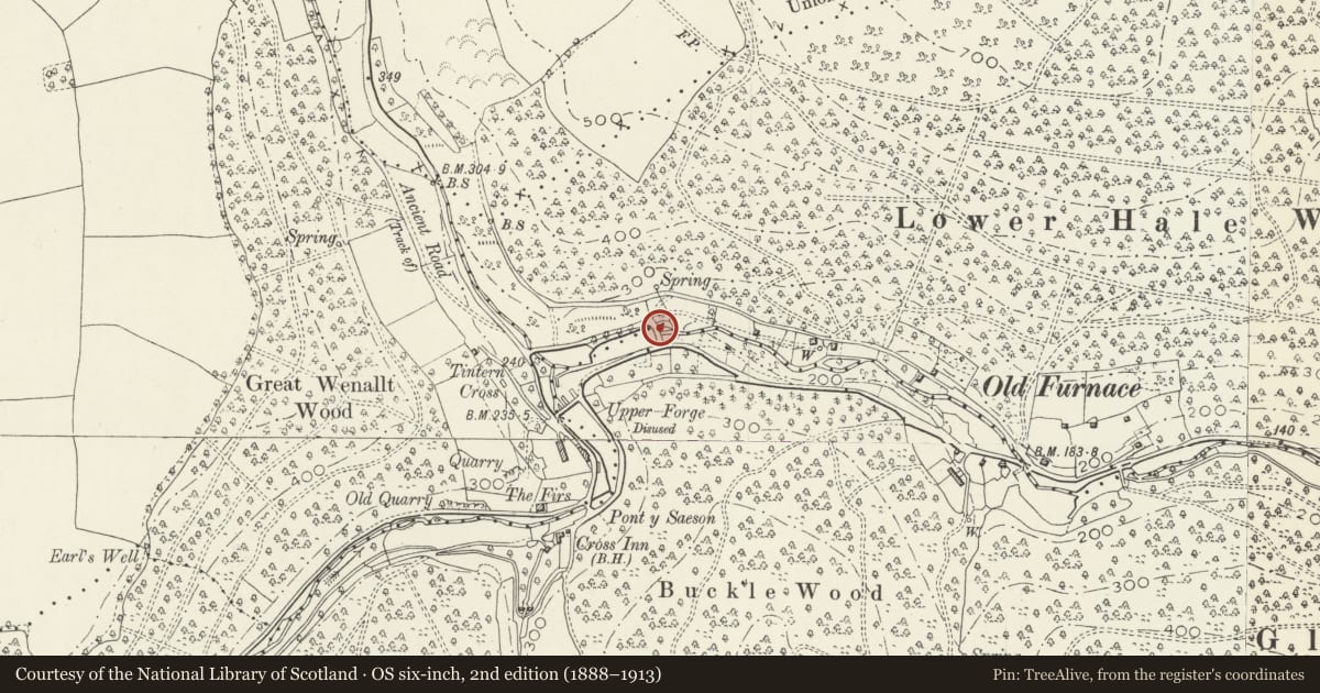Ordnance Survey six-inch map, 2nd edition (1888–1913) covering the location of Beaufort Pond Dam, Wye Valley, Monmouthshire, with a pin at the register's coordinates