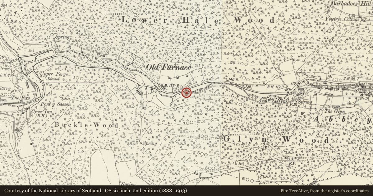 Ordnance Survey six-inch map, 2nd edition (1888–1913) covering the location of Furnace Dam, Wye Valley, Monmouthshire, with a pin at the register's coordinates