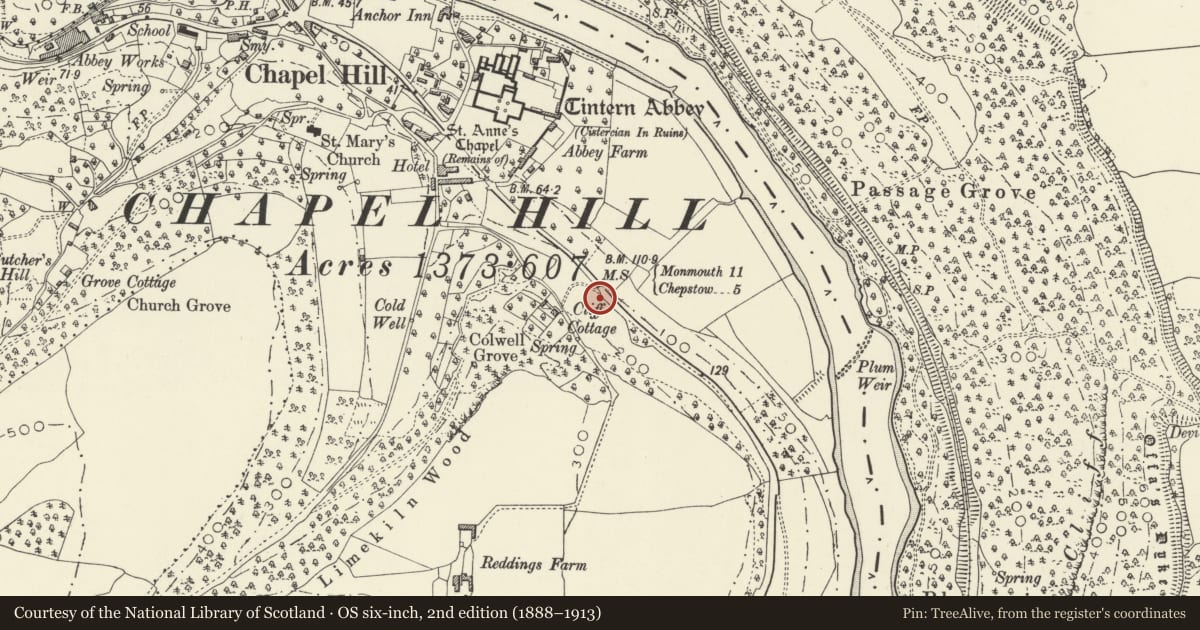Ordnance Survey six-inch map, 2nd edition (1888–1913) covering the location of Milestone 300m south of Tintern Abbey, Wye Valley, Monmouthshire, with a pin at the register's coordinates