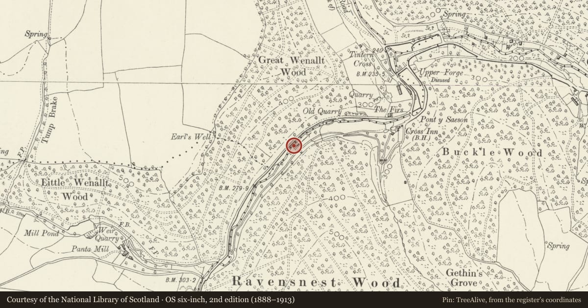 Ordnance Survey six-inch map, 2nd edition (1888–1913) covering the location of Fish Pool Dam, Devauden, Monmouthshire, with a pin at the register's coordinates