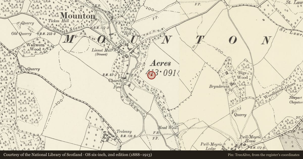 Ordnance Survey six-inch map, 2nd edition (1888–1913) covering the location of Vine Pergola in garden of Mounton House, Mathern, Monmouthshire, with a pin at the register's coordinates