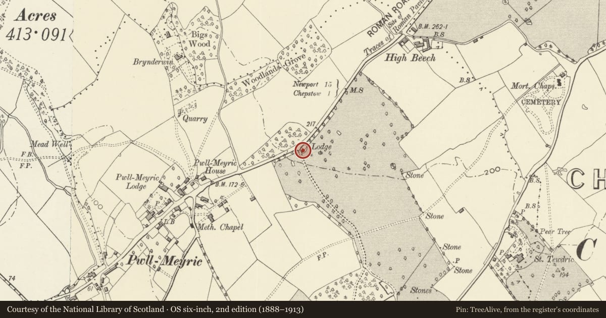 Ordnance Survey six-inch map, 2nd edition (1888–1913) covering the location of Wyelands Lodge, Mathern, Monmouthshire, with a pin at the register's coordinates