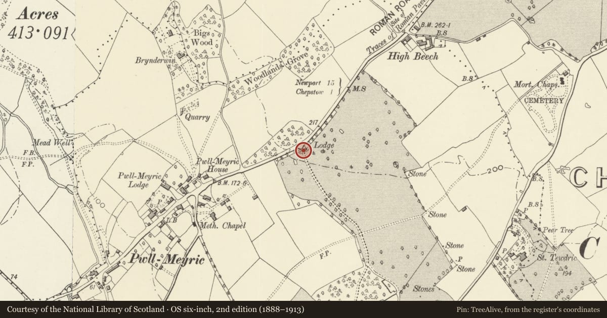 Ordnance Survey six-inch map, 2nd edition (1888–1913) covering the location of Gatepiers, Gates and Railings at the A48 entrance to Wyelands, Mathern, Monmouthshire, with a pin at the register's coordinates