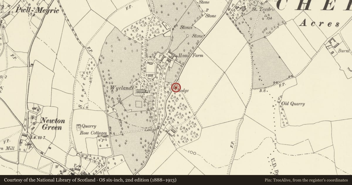Ordnance Survey six-inch map, 2nd edition (1888–1913) covering the location of Eastwood Lodge at Wyelands, Mathern, Monmouthshire, with a pin at the register's coordinates