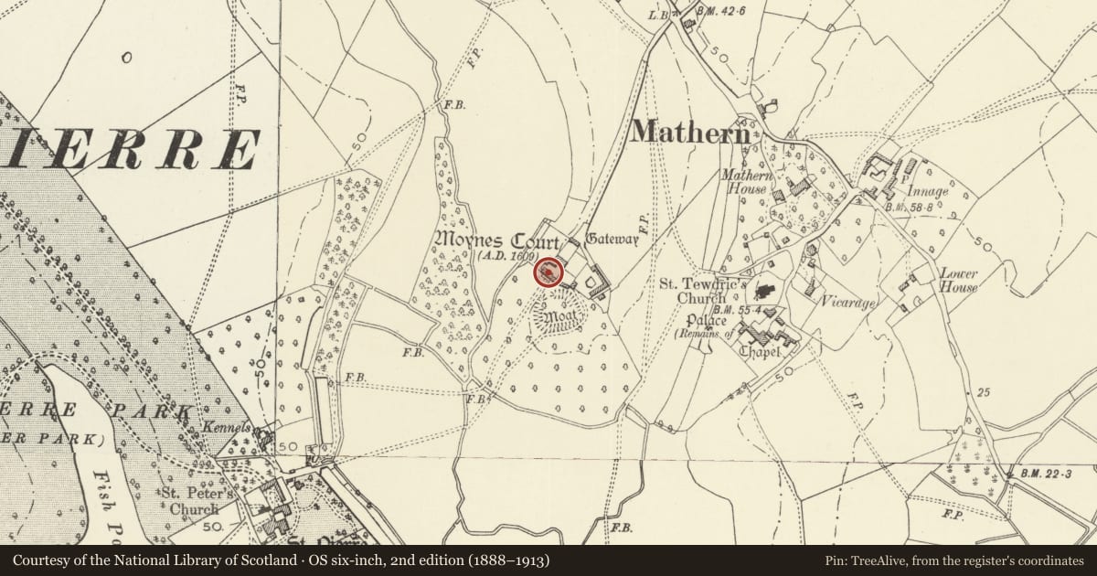 Ordnance Survey six-inch map, 2nd edition (1888–1913) covering the location of Moynes Cottage, Mathern, Monmouthshire, with a pin at the register's coordinates
