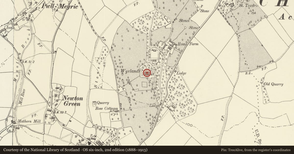 Ordnance Survey six-inch map, 2nd edition (1888–1913) covering the location of Wyelands, Mathern, Monmouthshire, with a pin at the register's coordinates