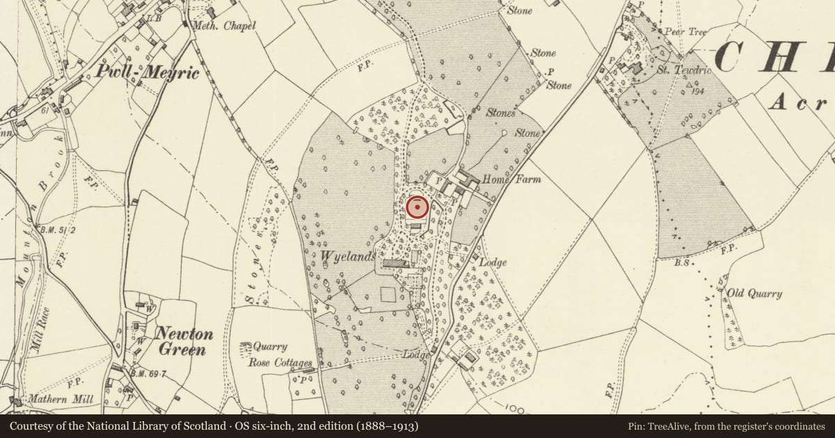 Ordnance Survey six-inch map, 2nd edition (1888–1913) covering the location of Walled Garden with Greenhouse and Bothies at Wyelands, Mathern, Monmouthshire, with a pin at the register's coordinates