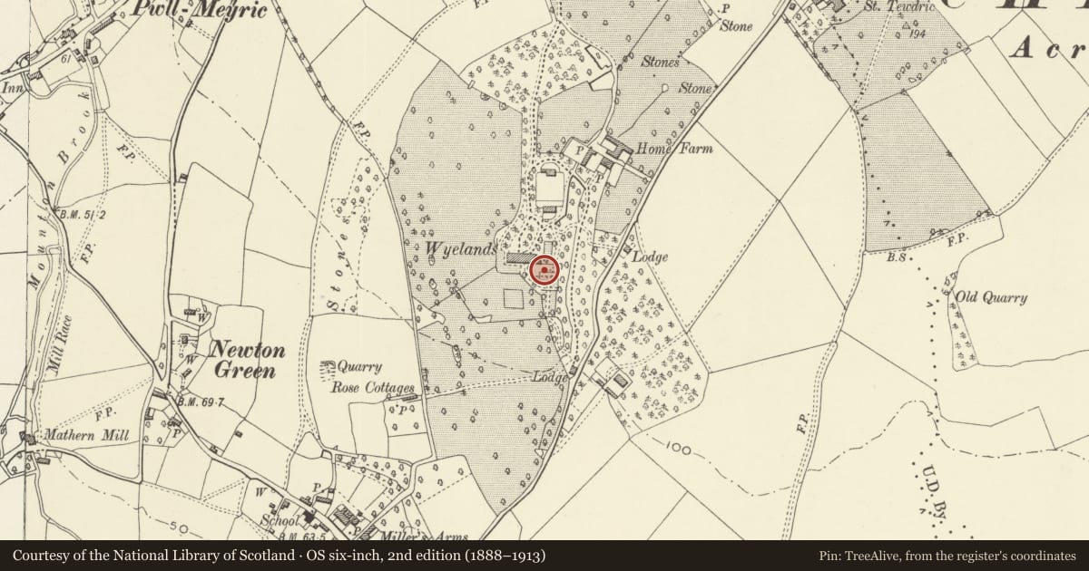 Ordnance Survey six-inch map, 2nd edition (1888–1913) covering the location of Garden Terracing and Gazebo at Wyelands, Mathern, Monmouthshire, with a pin at the register's coordinates