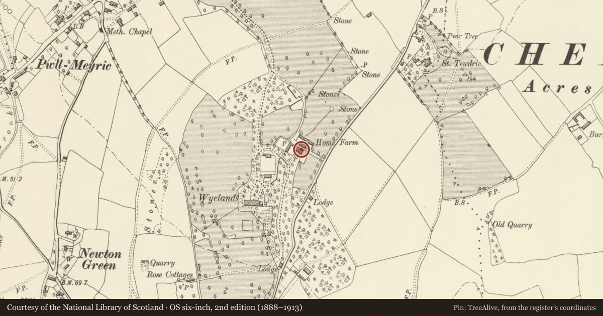 Ordnance Survey six-inch map, 2nd edition (1888–1913) covering the location of Home Farmhouse at Wyelands, Mathern, Monmouthshire, with a pin at the register's coordinates