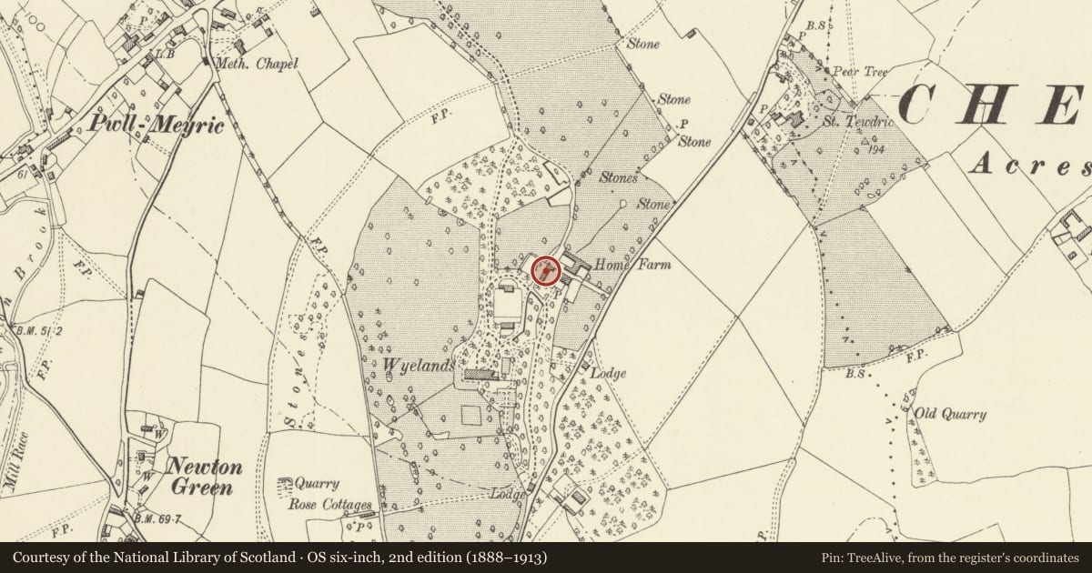 Ordnance Survey six-inch map, 2nd edition (1888–1913) covering the location of Cowshed at Wyelands Home Farm, Mathern, Monmouthshire, with a pin at the register's coordinates