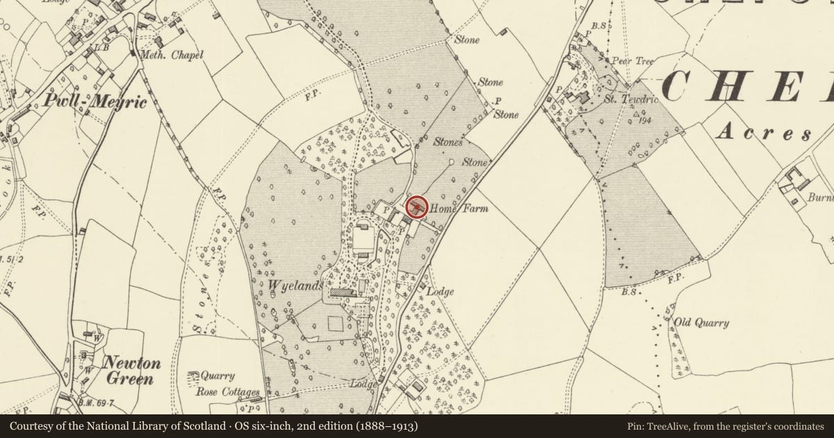 Ordnance Survey six-inch map, 2nd edition (1888–1913) covering the location of Barn at Wyelands Home Farm, Mathern, Monmouthshire, with a pin at the register's coordinates