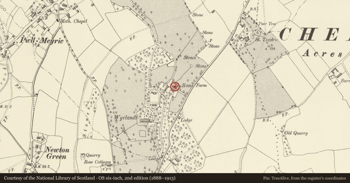 Ordnance Survey six-inch map, 2nd edition (1888–1913) covering the location of Bunkhouse and granary at Wyelands Home Farm, Mathern, Monmouthshire, with a pin at the register's coordinates