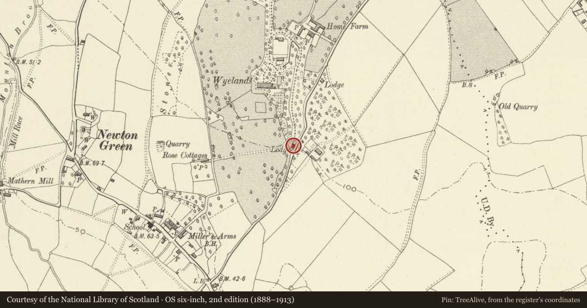 Ordnance Survey six-inch map, 2nd edition (1888–1913) covering the location of Mathern Lodge at Wyelands, Monmouthshire, with a pin at the register's coordinates